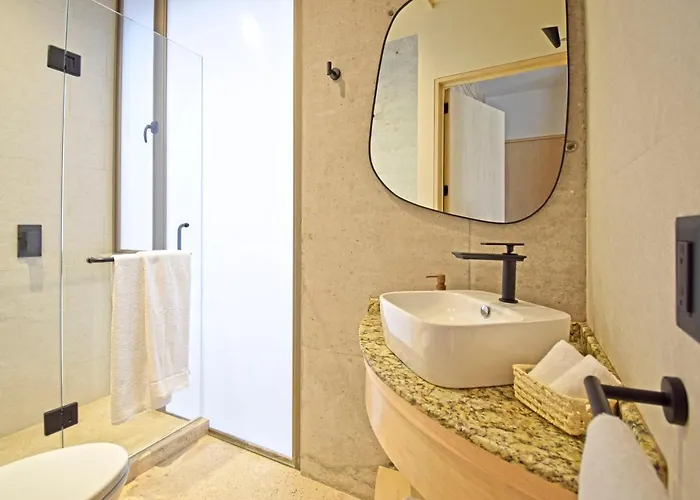 Hotel Boutique Durango219 Mexico City