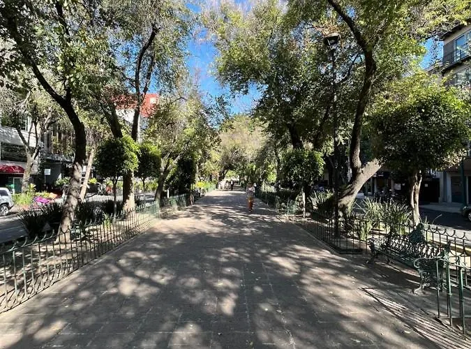 Boutique Durango219 Mexico City