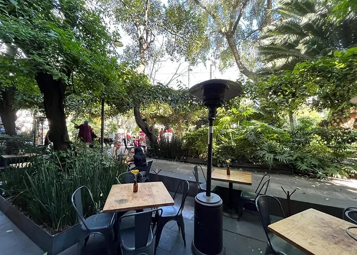 Boutique Durango219 Hotel Mexico City
