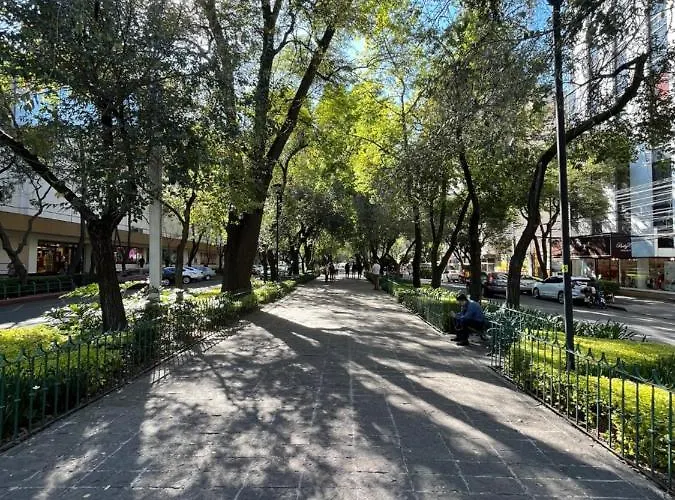 Boutique Durango219 Mexico City